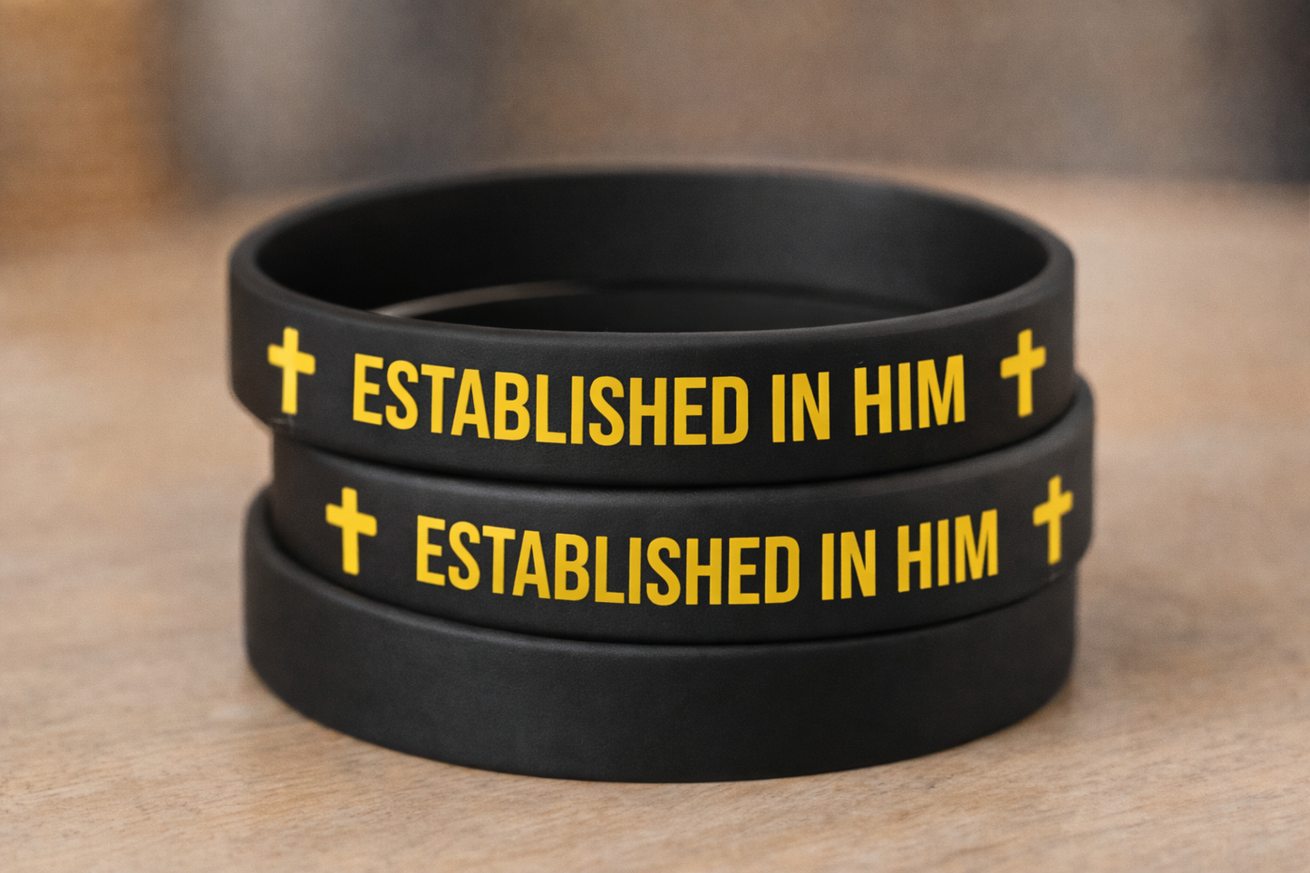 Established In Him Wristband – Faith Bracelet